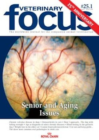 Senior and Aging Issues